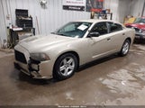 Dodge Charger Police 2C3CDXAT3DH620107 снимка