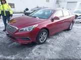 Hyundai Sonata Se 5NPE24AF5GH309499 снимка