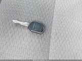 Miniaturka zdjęcia 11