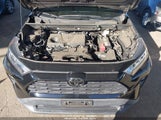 Toyota Rav4 Xle 2T3W1RFV4LW086153 снимка