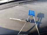 Miniaturka zdjęcia 11