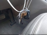 Miniaturka zdjęcia 11