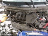 Miniaturka zdjęcia 10