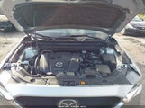Miniaturka zdjęcia 10