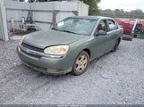 Chevrolet Malibu Lt 1G1ZU54874F135285 снимка