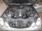 Miniaturka zdjęcia 10