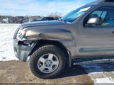 Miniaturka zdjęcia 6