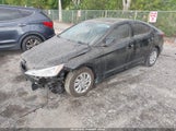 Miniaturka zdjęcia 2