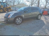 Cadillac Srx Performance Collection 3GYFNDE30DS617607 fotografie