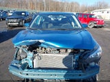 Miniaturka zdjęcia 6