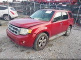 Ford Escape Xlt 1FMCU0DGXBKA31235 снимка