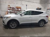 Hyundai Santa Fe Sport 2.4L 5XYZT3LB8HG496832 снимка
