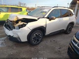 Miniaturka zdjęcia 2