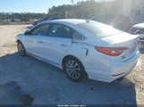 Hyundai Sonata Sport 5NPE34AF0GH299882 photo