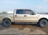 Ford F-150 Xlt 1FTEW1CM5DFD03285 снимка