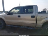 Ford F-150 Xlt 1FTEW1CM5DFD03285 fotografie