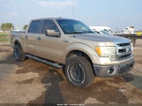 Ford F-150 Xlt 1FTEW1CM5DFD03285 снимка