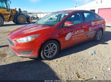 Miniaturka zdjęcia 2