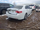 Acura Tsx 2.4 JH4CU2F47DC013225 fotografie