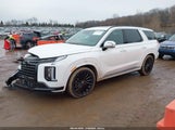 Hyundai Palisade Calligraphy Night Edition KM8R7DGE2SU906184 fotografie
