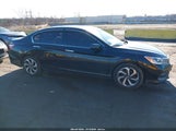 Honda Accord Ex-L V6 1HGCR3F03HA026689 photo