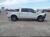 Ford F-150 Fx4/Harley-Davidson/King Ranch/Lariat/Platinum/Xl/Xlt 1FTFW1EV0AFB34976 fotografie