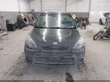 Miniaturka zdjęcia 6