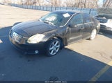 Nissan Maxima 3.5 Se 1N4BA41E95C831614 снимка