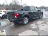 Ford F-150 Xl 1FTEW1EP5HFA79156 снимка