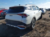 Miniaturka zdjęcia 4