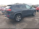 Jeep Cherokee Trailhawk 4X4 1C4PJMBS0HW614086 fotografie
