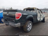 Ford F-150 Xl 1FTEX1EM5DFB51485 снимка