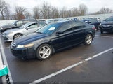 Acura Tl 19UUA662X6A043985 снимка