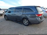Honda Odyssey Ex-L 5FNRL5H69EB057603 снимка