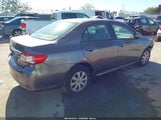 Toyota Corolla Le JTDBU4EE2BJ107587 fotografie