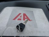 Miniaturka zdjęcia 11