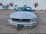 Ford Mustang V6 Deluxe/V6 Premium 1ZVFT80N955137683 снимка