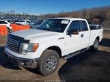 Ford F-150 Xlt 1FTFX1EF9BFC03431 fotografie