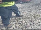 Ford Escape Se 1FMCU9G61MUA35320 снимка
