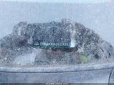 Kia Optima Sx 5XXGR4A66DG210282 снимка