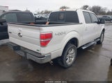 Ford F-150 Fx4/Harley-Davidson/King Ranch/Lariat/Platinum/Xl/Xlt 1FTFW1EV8AFD24797 photo