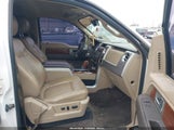 Ford F-150 Fx4/Harley-Davidson/King Ranch/Lariat/Platinum/Xl/Xlt 1FTFW1EV8AFD24797 снимка