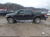 Ford F-150 Xlt 1FTFW1EF6DFC97645 снимка