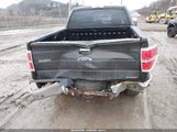 Ford F-150 Xlt 1FTFW1EF6DFC97645 снимка