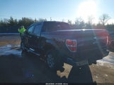Ford F-150 Xlt 1FTFW1EF9DFC79172 снимка