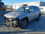 Hyundai Tucson Hybrid Blue KM8JBDD10SU310438 photo