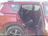 Toyota Rav4 Xle 2T3WFREV0JW470642 снимка