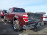 Ford F-150 Fx4/Harley-Davidson/King Ranch/Lariat/Platinum/Xl/Xlt 1FTFW1EV1AFA23823 fotografie
