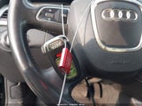 Miniaturka zdjęcia 11