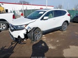 Miniaturka zdjęcia 2